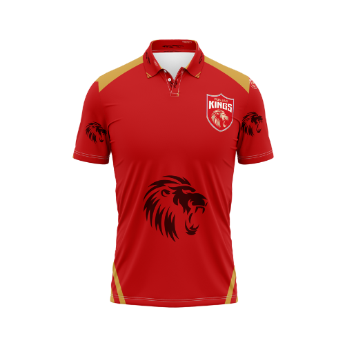 Punjab Kings (PUNJAB IPL) Customizable Jersey!